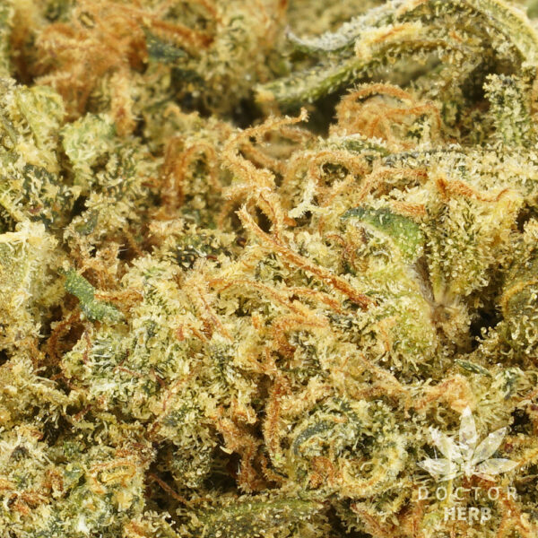 Blue Cheese - CBD Hemp Tea Flower - Image 3