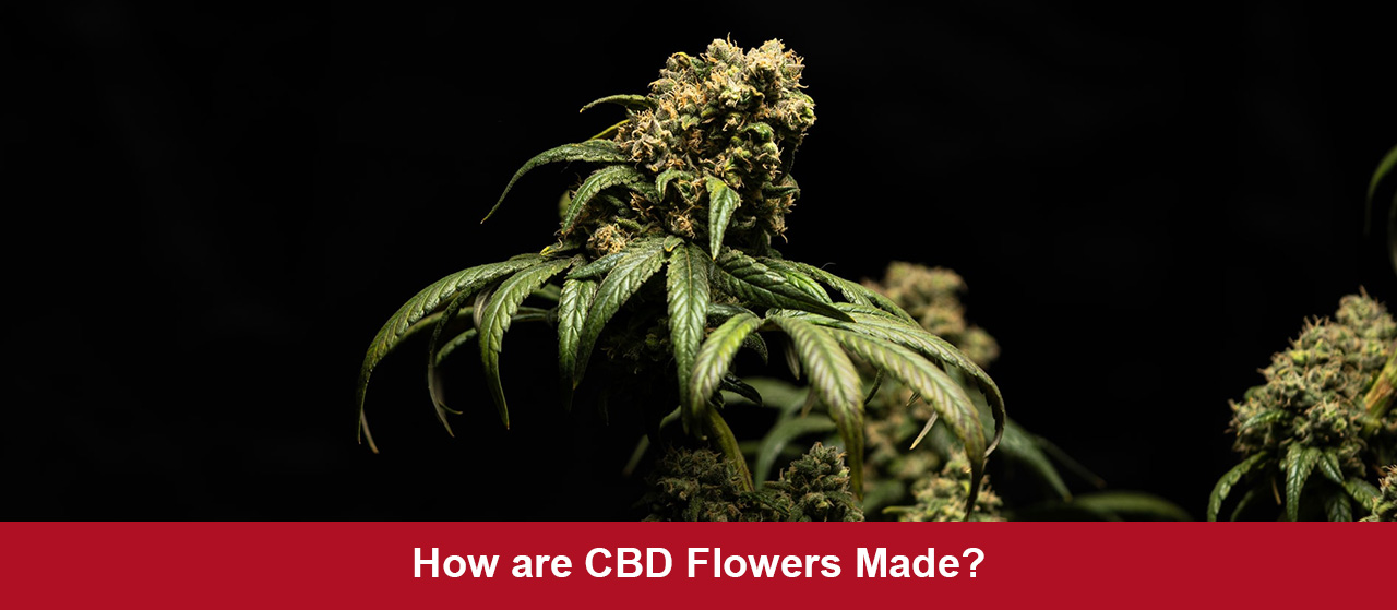 How are CBD Flowers Made?