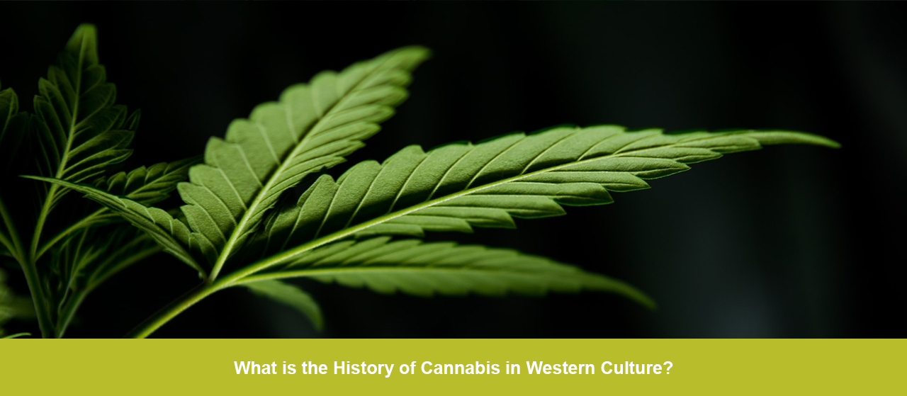 What is the History of Cannabis in Western Culture?