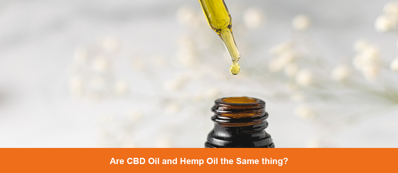 Are CBD Oil and Hemp Oil the Same thing?