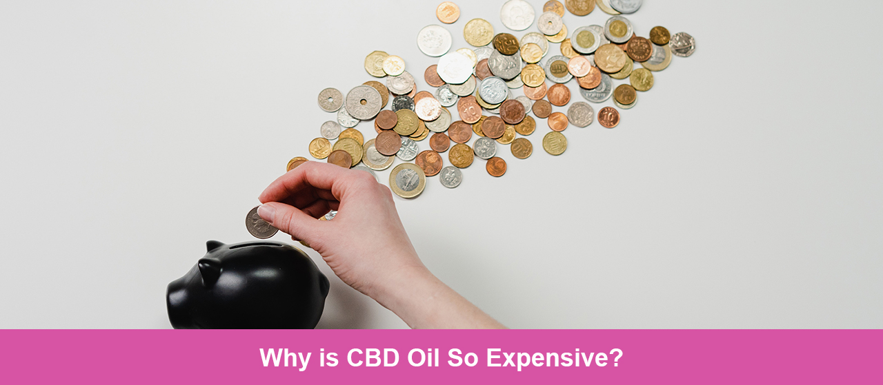 Why is CBD Oil So Expensive?