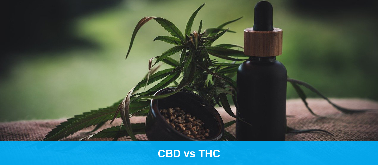 CBD vs THC