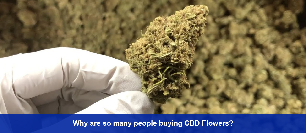 Why are so many people buying CBD Flowers?