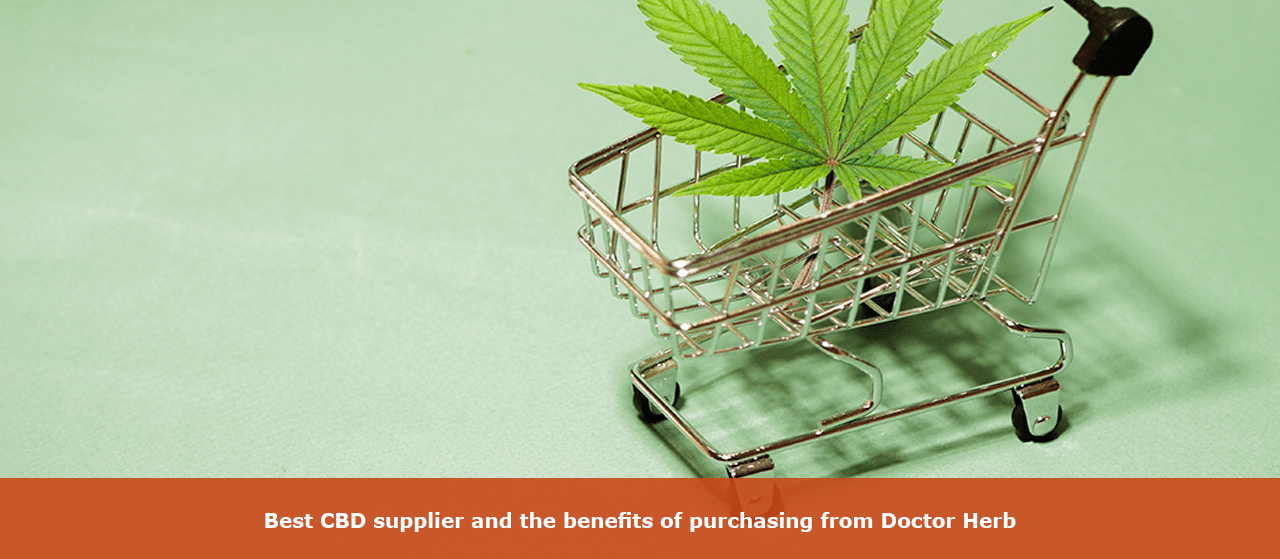 Best CBD supplier and the benefits of purchasing from Doctor Herb
