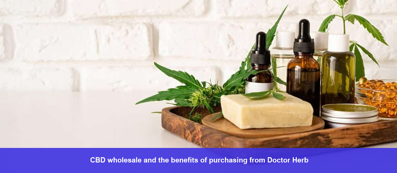 CBD wholesale and the benefits of purchasing from Doctor Herb