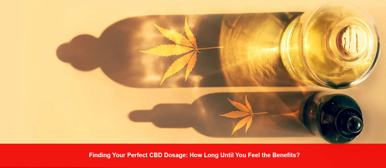 Finding Your Perfect CBD Dosage: How Long Until You Feel the Benefits? Doctor Herb’s Expert Guidance