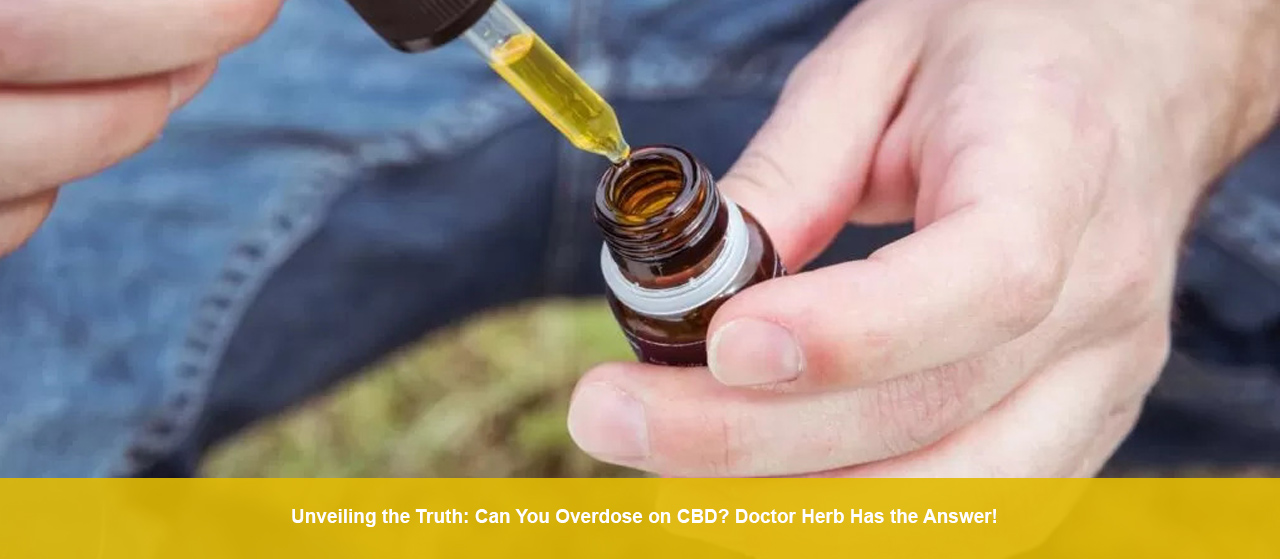 Unveiling the Truth: Can You Overdose on CBD? Doctor Herb Has the Answer!