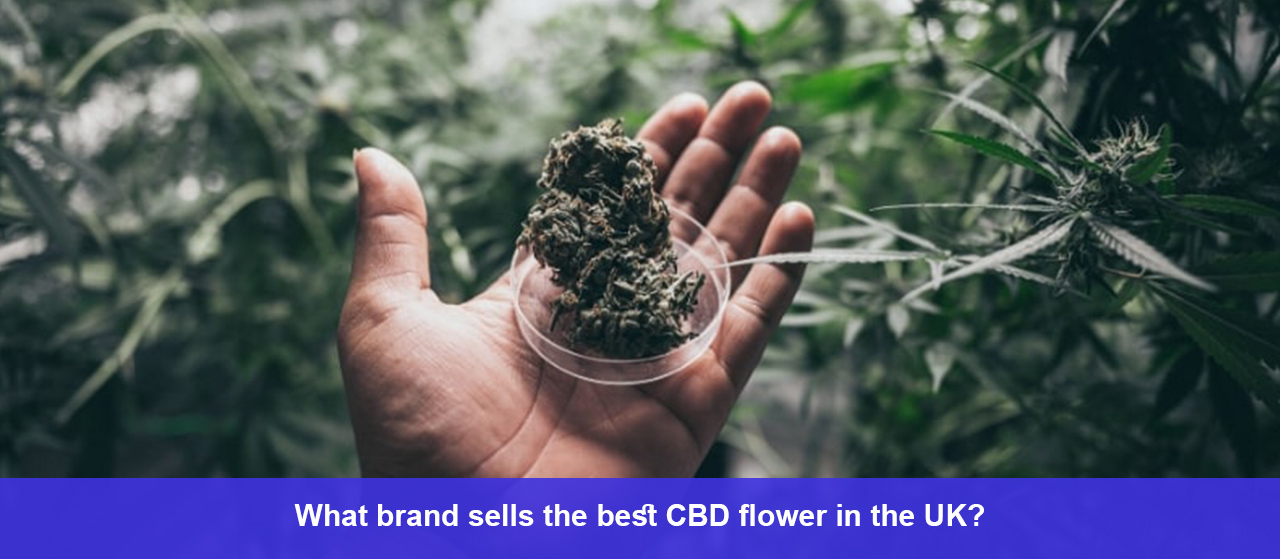What brand sells the best CBD flower in the UK?