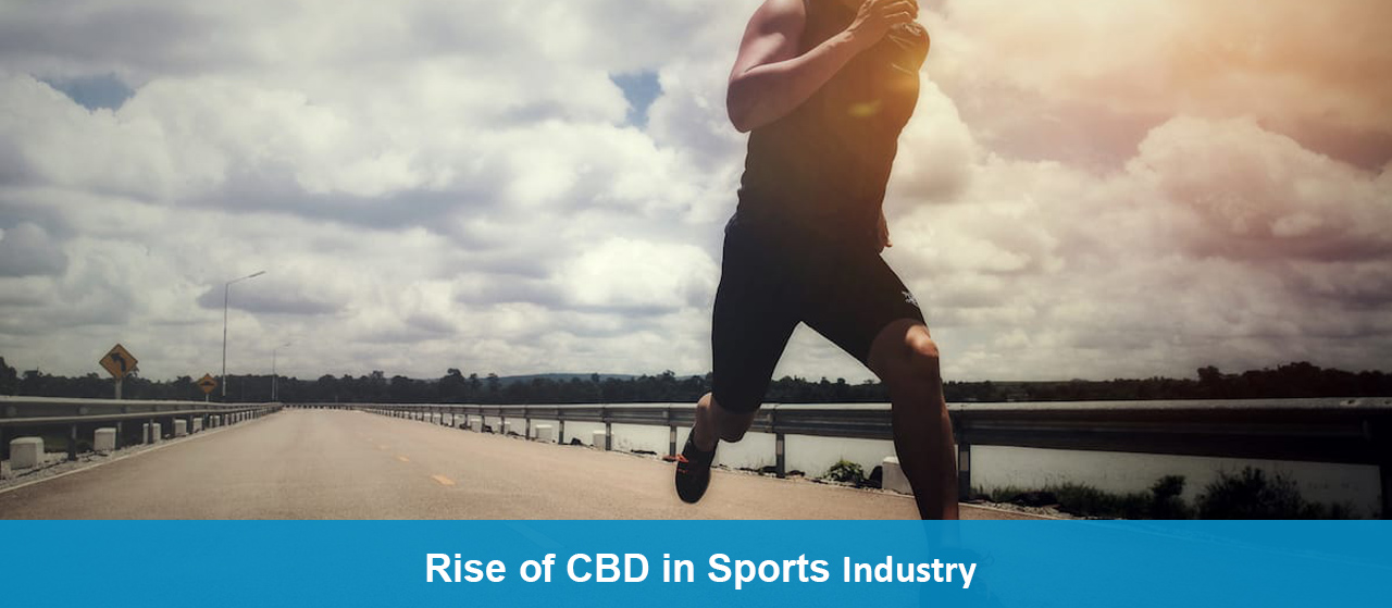 Rise of CBD in Sports Industry