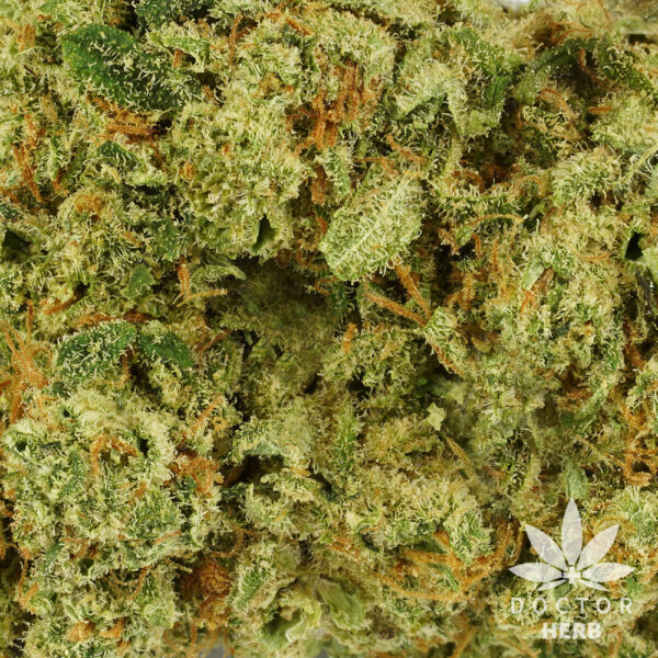 Amnesia Haze - CBD Hemp Tea Flower - Image 3