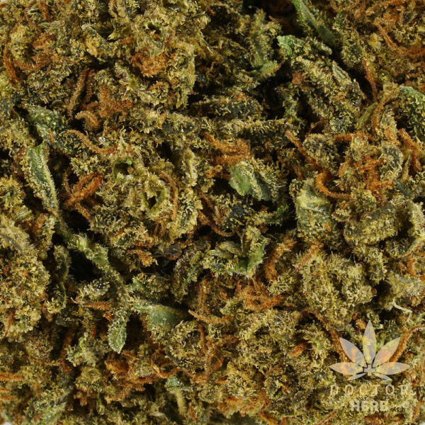 Durban Poison - Image 3