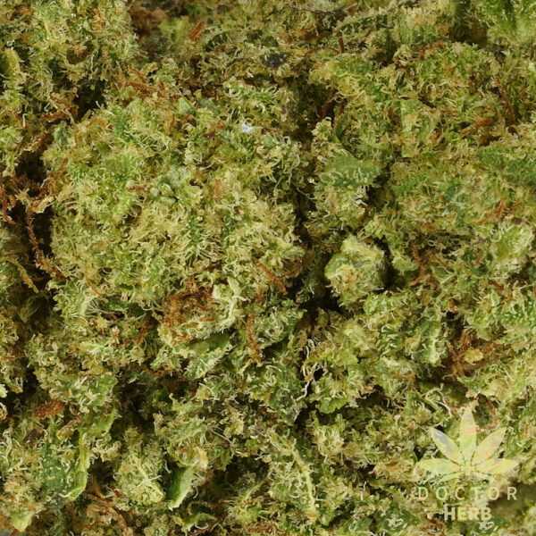 Frosties - Image 3
