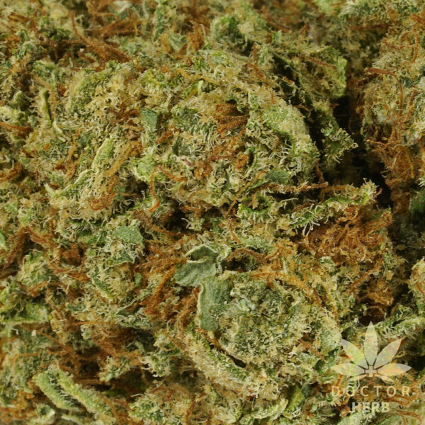 Gelatti - CBD Hemp Tea Flower - Image 3