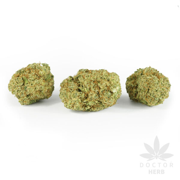 Gelatti - CBD Hemp Tea Flower - Image 2