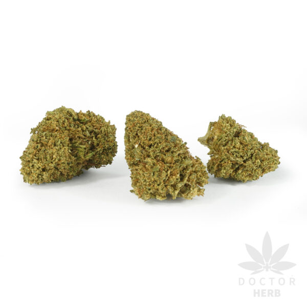 Gorilla Glue - Image 2