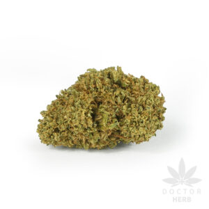 Gorilla Glue