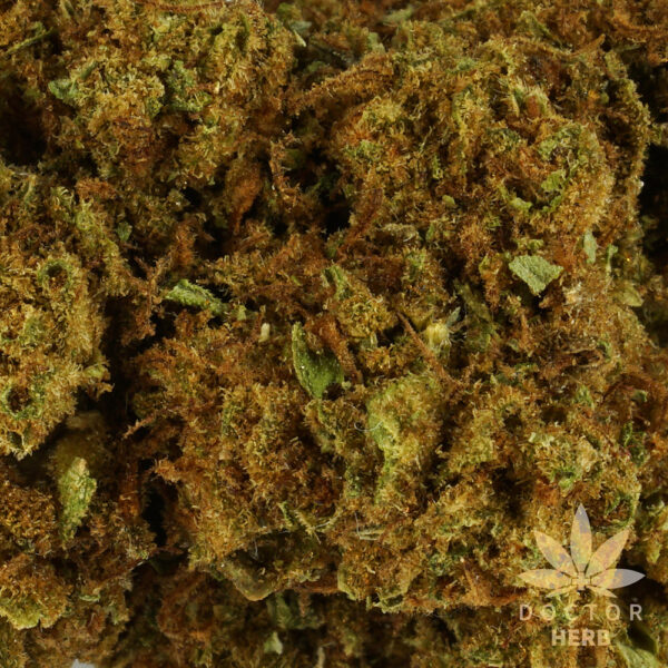 Jack Herrer - Image 3
