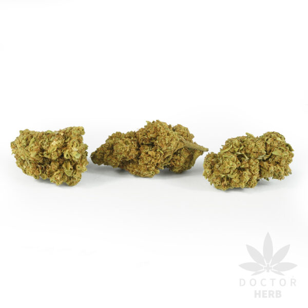Jack Herrer - Image 2