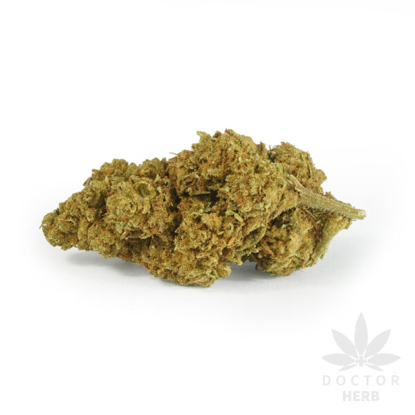 Jack Herrer