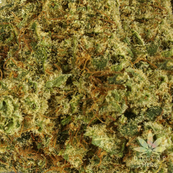 Sherbelato - CBD Hemp Tea Flower - Image 3