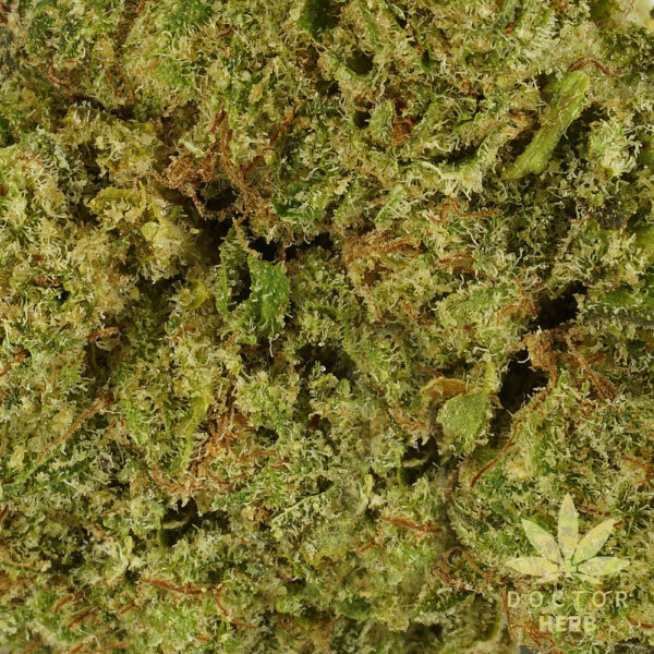 Skywalker OG - CBD Hemp Tea Flower - Image 3