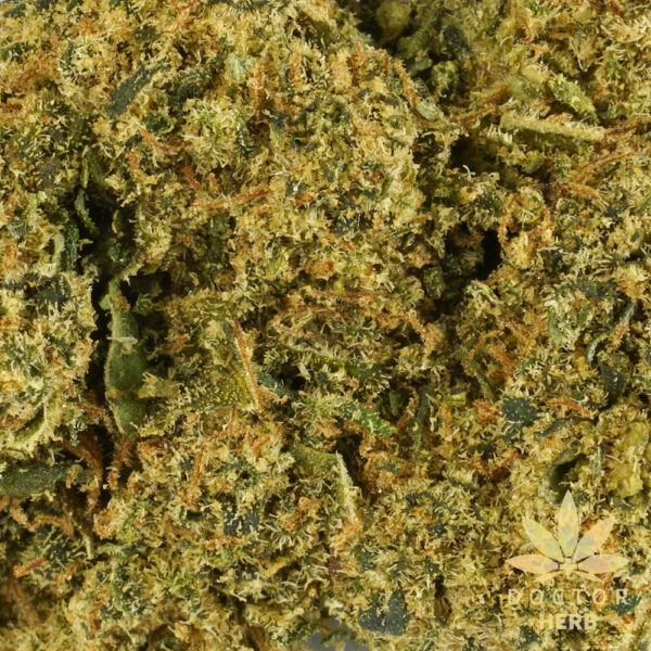 SMARTIES - CBD Hemp Tea Flower - Image 3